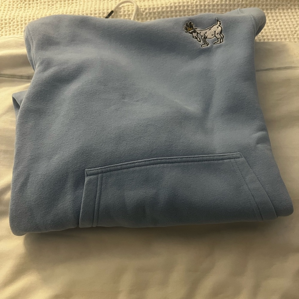 Blue Hoodie with Embroidered Design